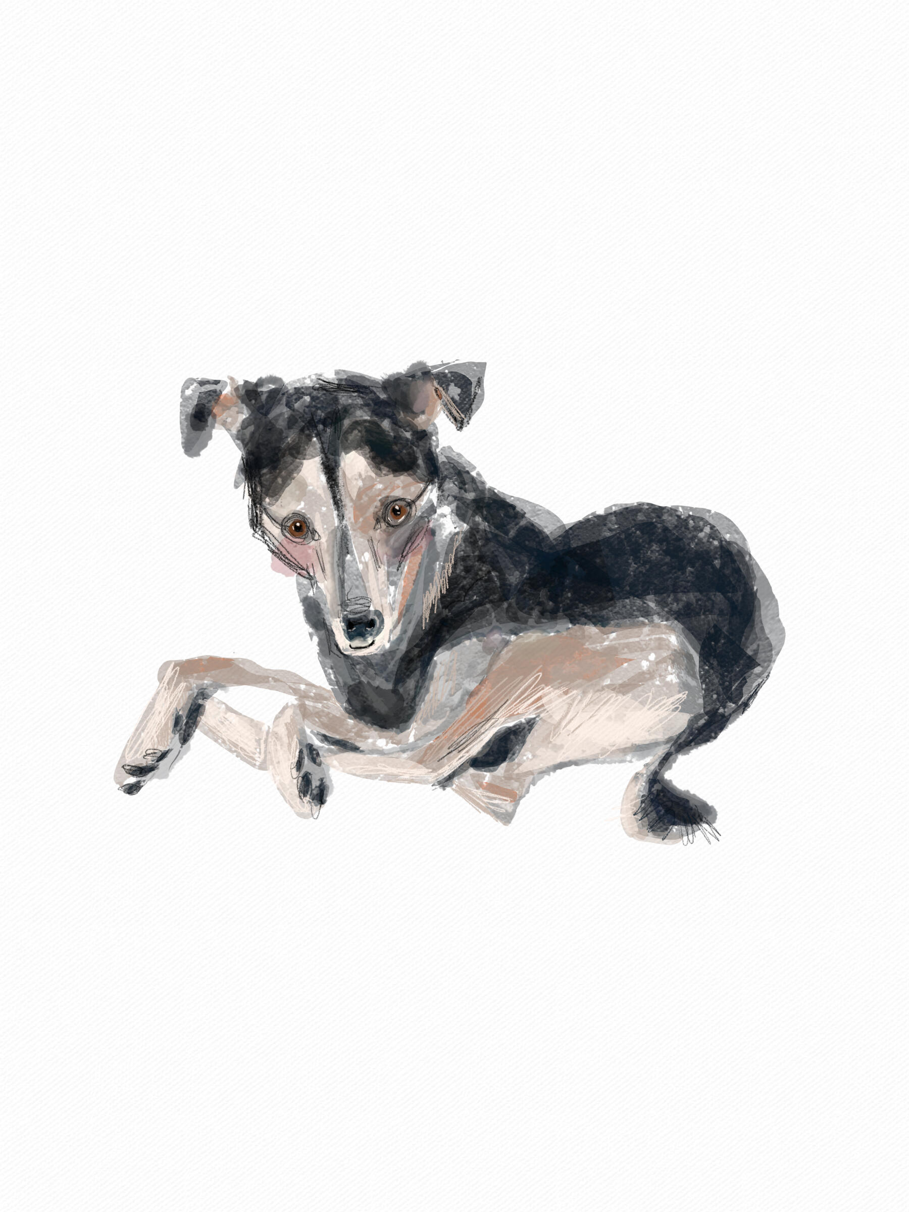 Untitled Untitled